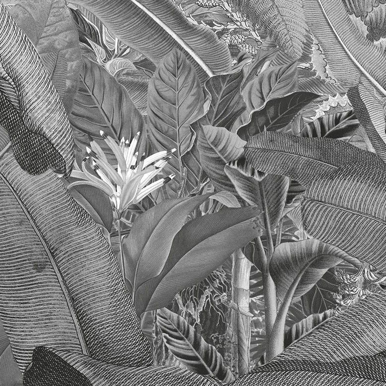 Amazóniai esőerdőt ábrázoló tapéta, 100x250 cm, fekete-fehér - RETRO JUNGLE - Butopêa